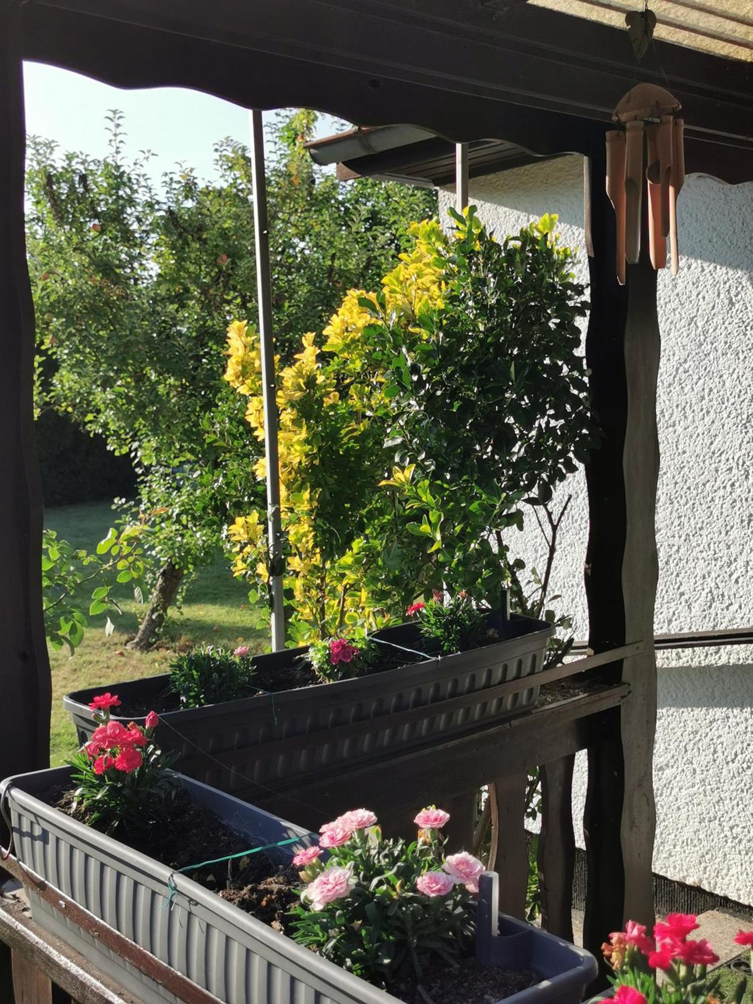 'am Rosenhag' Casa de férias *